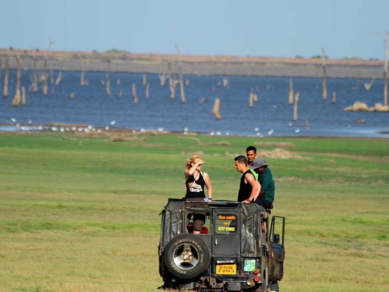 Romantic Honeymoon Vacations in Sri Lanka