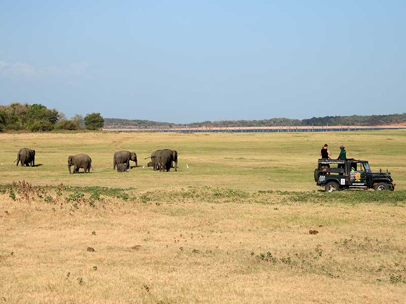 Romantic Honeymoon Vacations in Sri Lanka