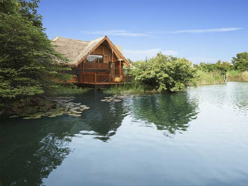 Romantic Honeymoon Vacations in Sri Lanka