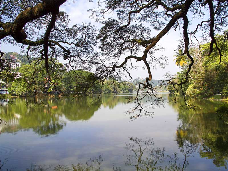 Honeymoon Holidays in Sri Lanka