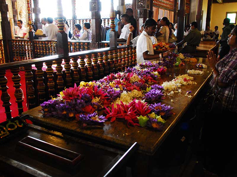 Honeymoon Holidays in Sri Lanka