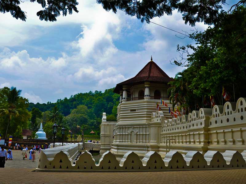 Honeymoon Holidays in Sri Lanka