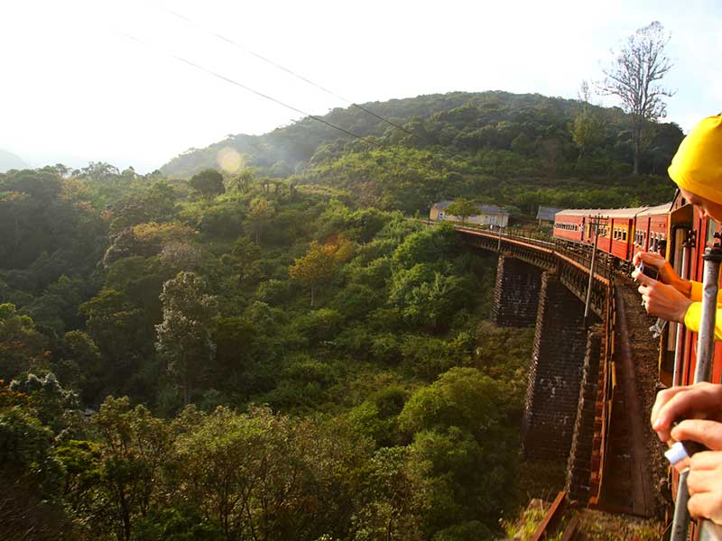 Honeymoon Holidays in Sri Lanka
