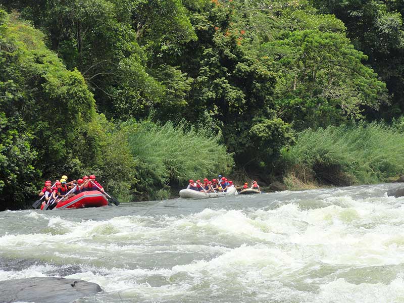 Honeymoon Holidays in Sri Lanka