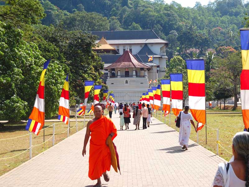Romantic Honeymoon Getaways in Sri Lanka