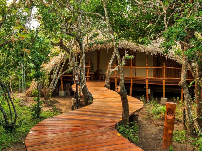 Best Honeymoon Getaways in Sri Lanka