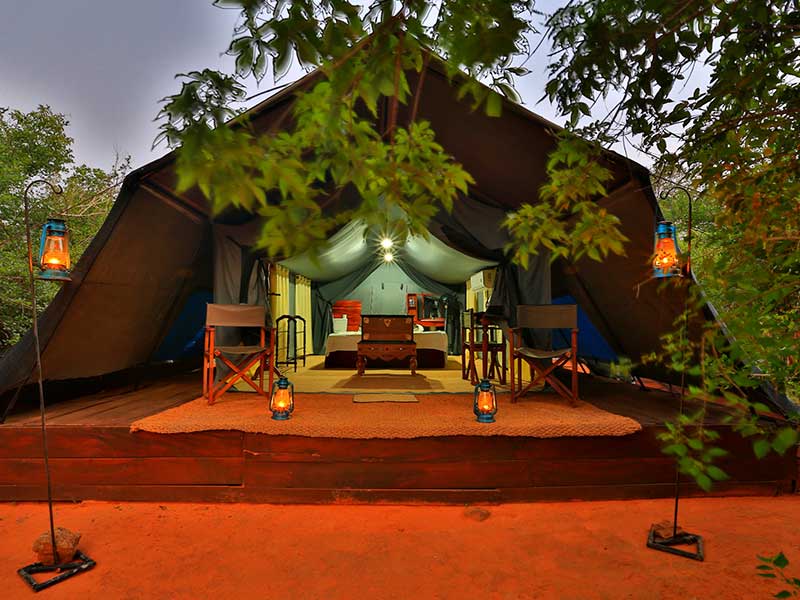 Honeymoon Getaways in Sri Lanka