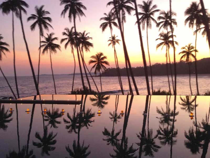 Top Honeymoon Getaways in Sri Lanka