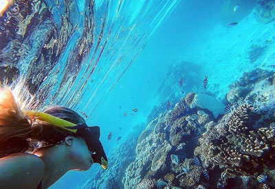 Maldives Diving and Cruise Holidays