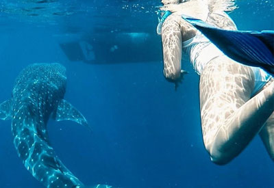 Maldives Diving and Cruise Holidays