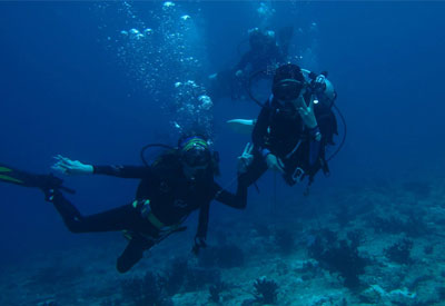 Maldives Diving and Cruise Holidays