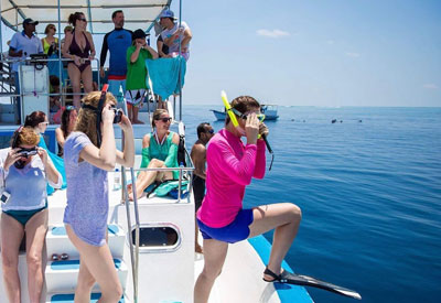 Maldives Diving and Cruise Holidays