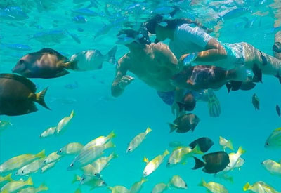 Maldives Diving and Cruise Holidays