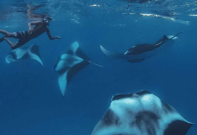 Maldives Diving and Cruise Holidays