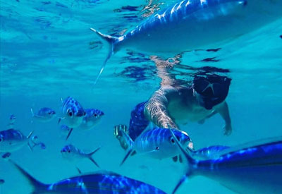 Maldives Diving and Cruise Holidays