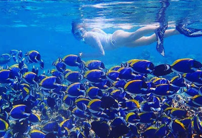 Maldives Diving and Cruise Holidays