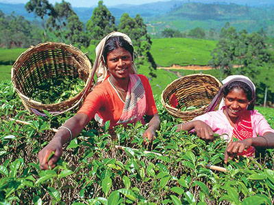 Short getaways in Sri Lanka