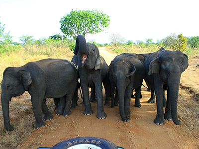 Short getaways in Sri Lanka