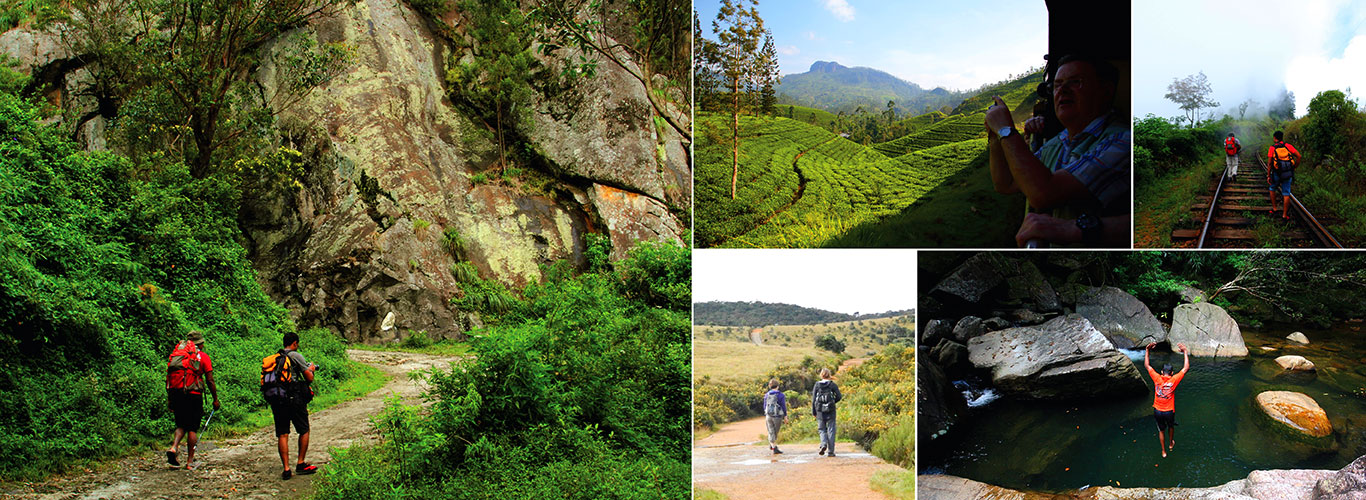 Active and Adventure Tour Sri Lanka