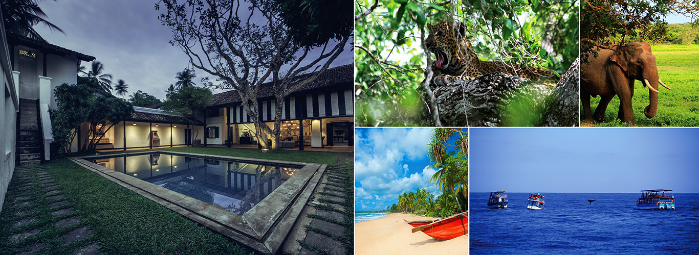 Beach and Wildlife Tour of Sri Lanka