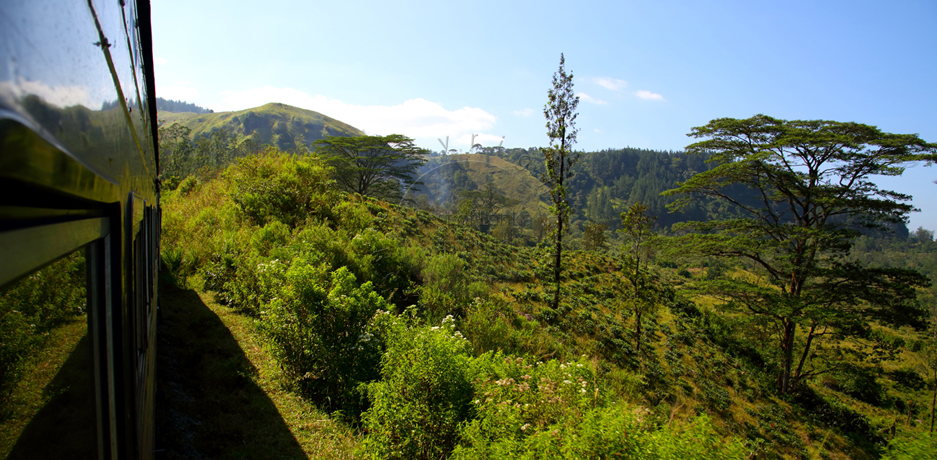 Eco & Off the Beaten Adventure Tours in Sri Lanka