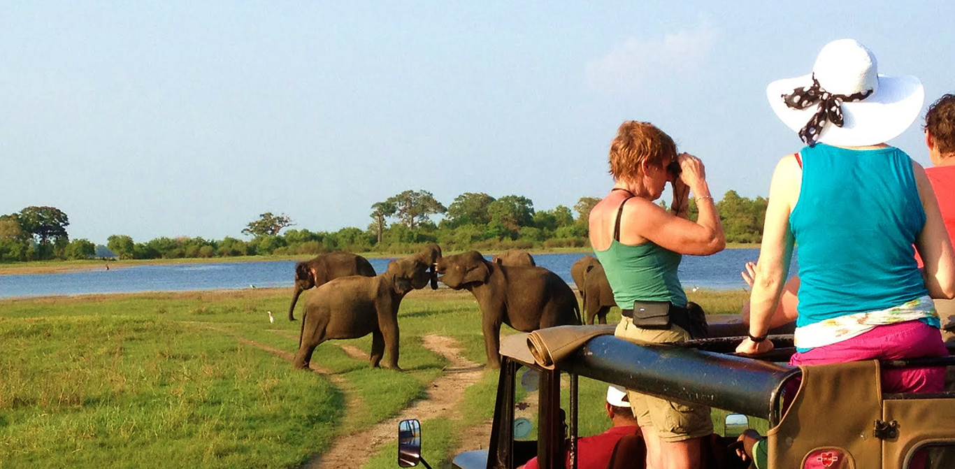Eco & Off the Beaten Adventure Tours in Sri Lanka