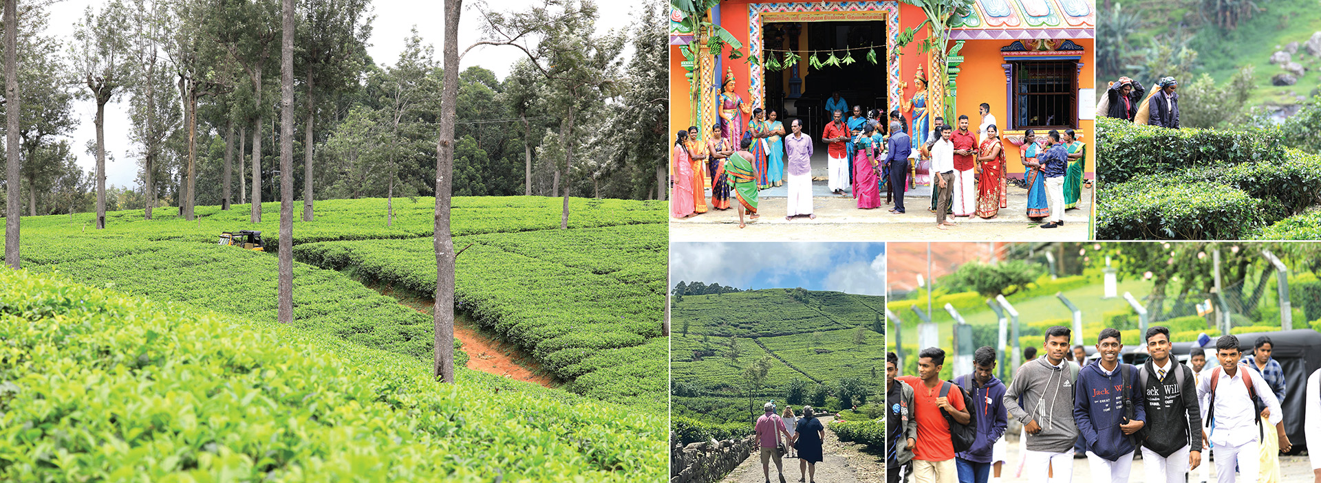 Tea estate Trekking Tour from Haputale to Bandarawela