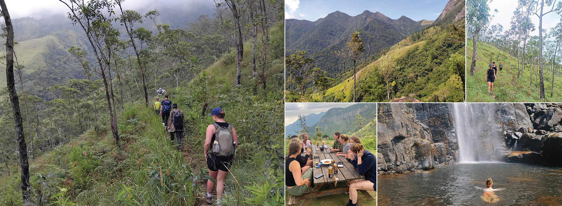 Pekoe Trail Trekking Tour with stage 12 and Bambarakanda Waterfall