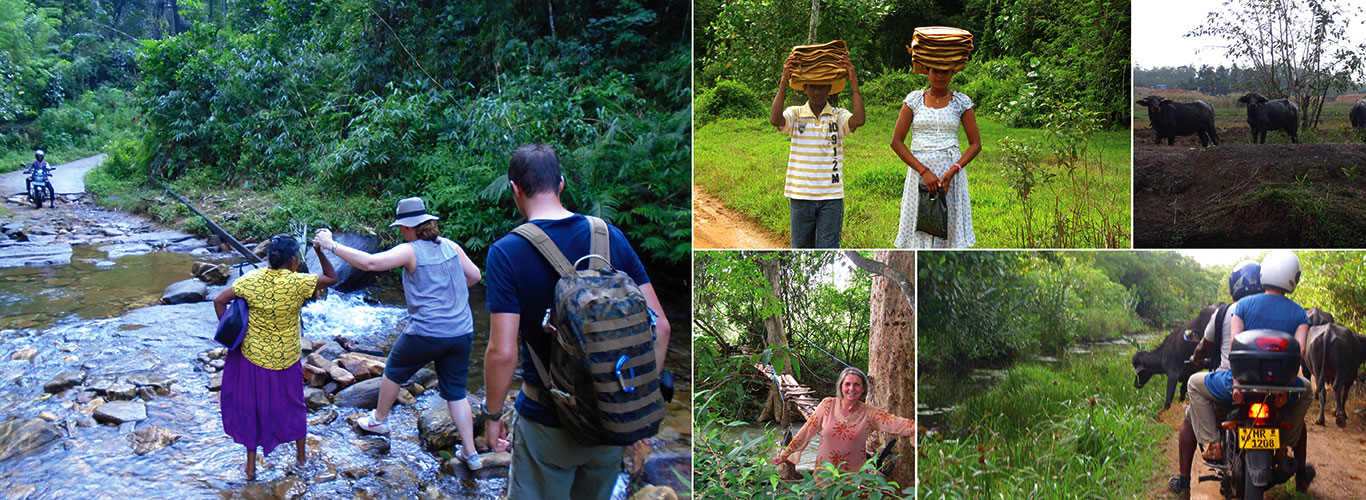 Trek through the country side and Trekking Trips in Sri Lanka - Scenic trekking tours in Sri Lanka - Trek through the Country Side and trekking tours - Trekking Trips in Sri Lanka - Sri Lanka trekking Trips - Trekking trips in Bentota - Bentota Trekking Trips - Village Walk in Sri Lanka