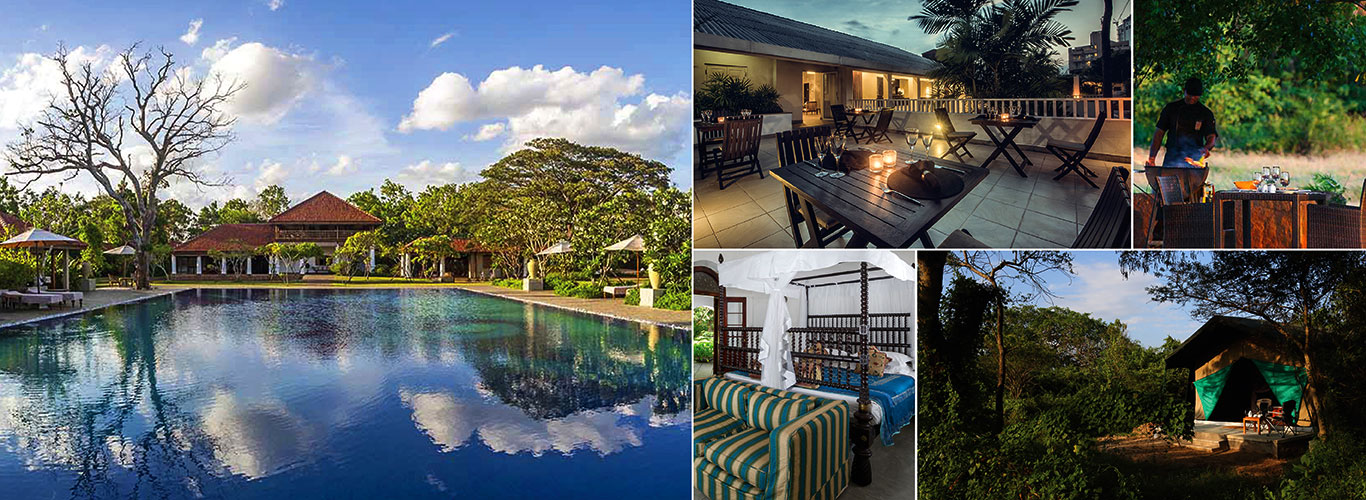 Sri Lanka Luxury Tours