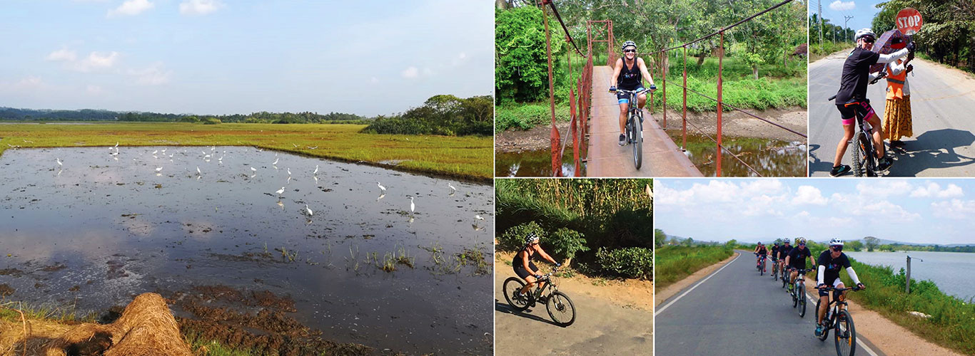 Cycling Tours in Ahangama