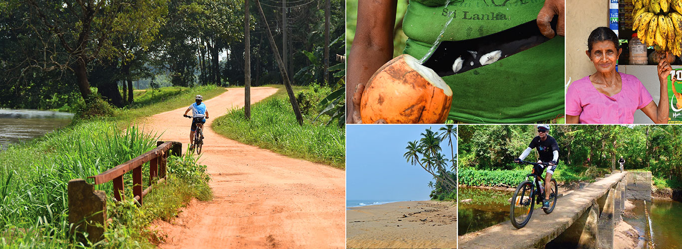 Cycling Tours in Bentota