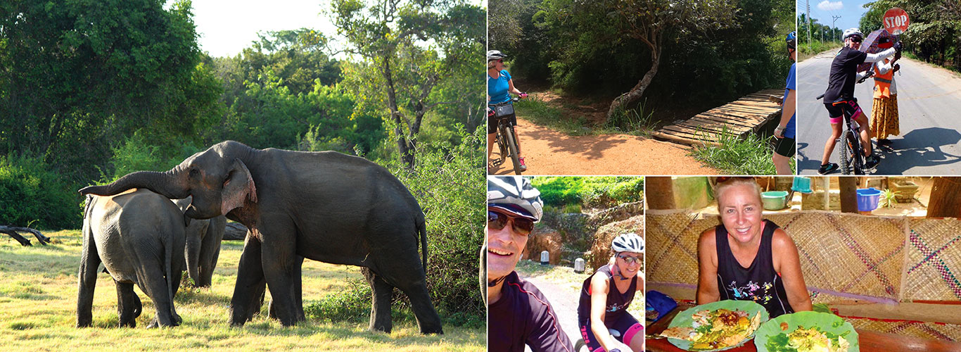 Cycling Tours in Kanneliya Rain Forest