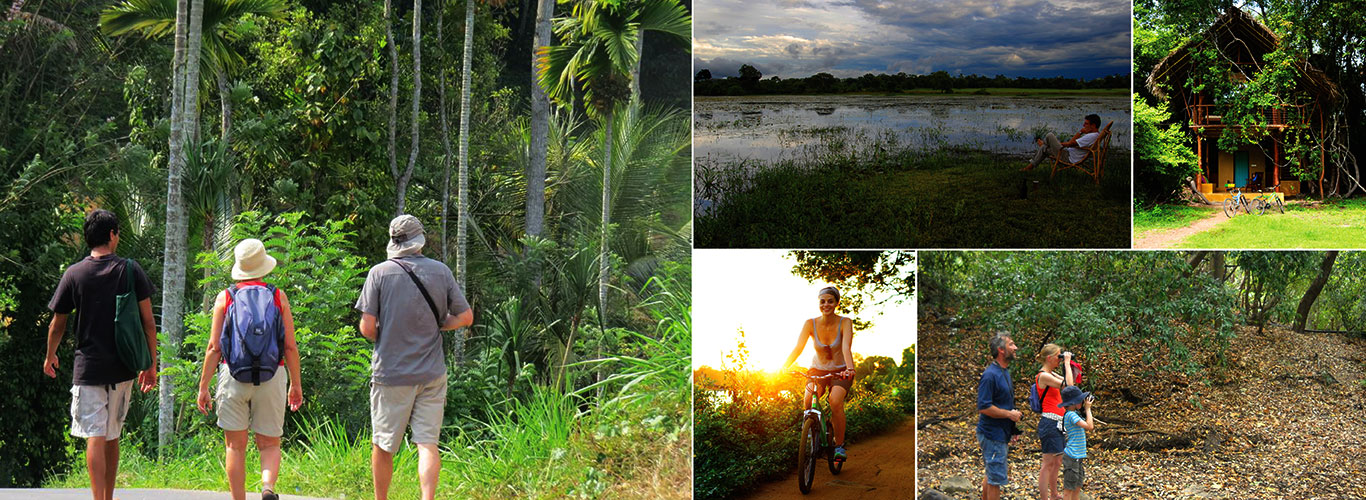 Rural Eco Tours in Sri Lanka