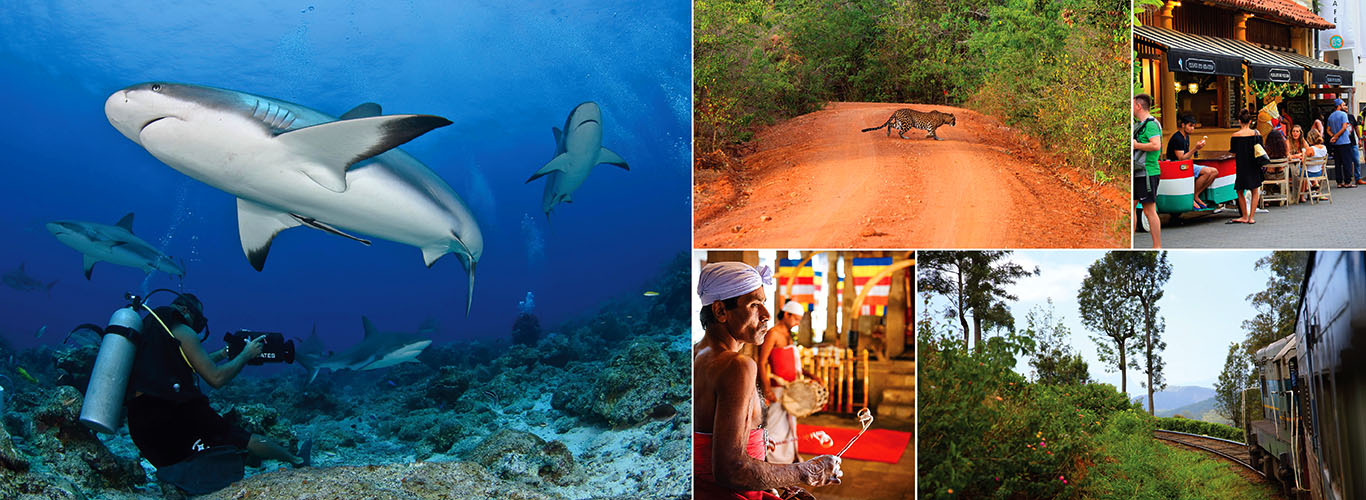 Two weeks holidays in Sri Lanka & Maldives