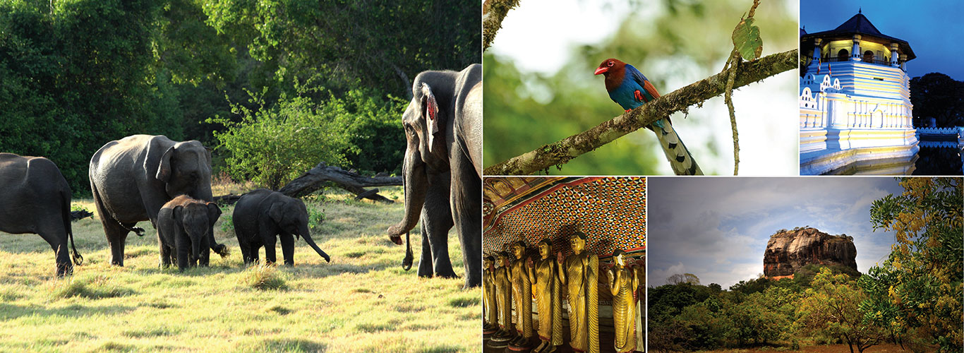 Short Tours in Sri Lanka