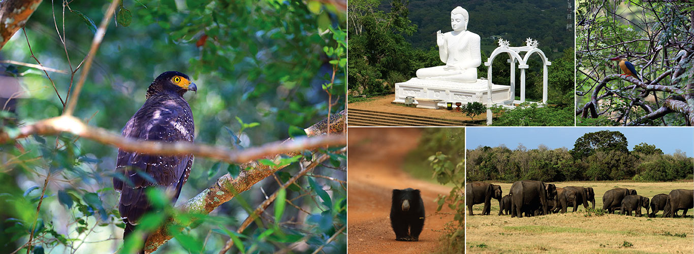 Short getaways in Sri Lanka