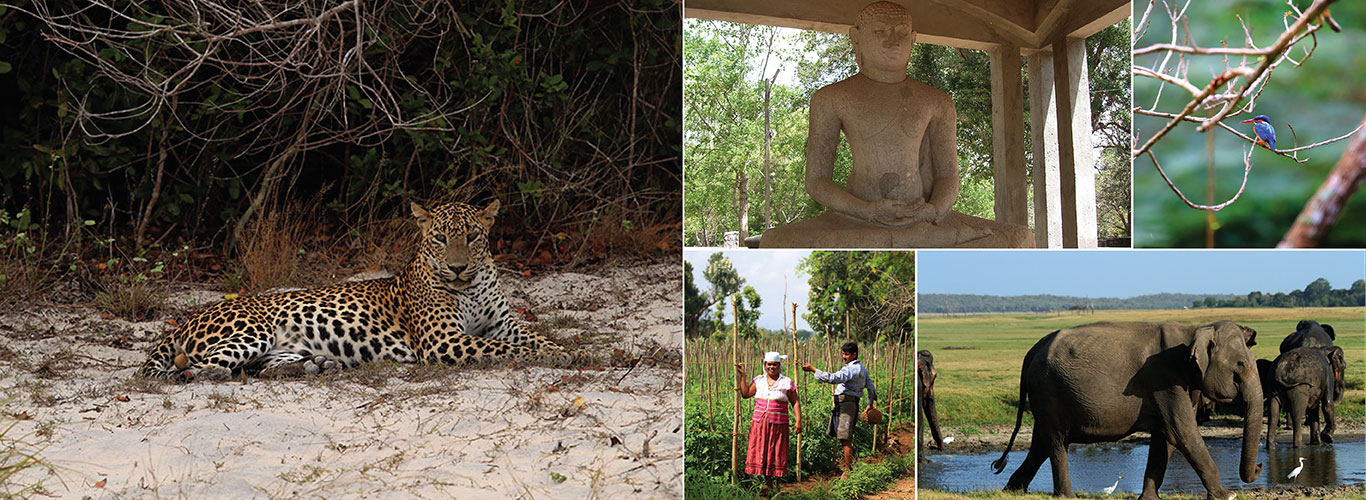 Short Tours in Sri Lanka