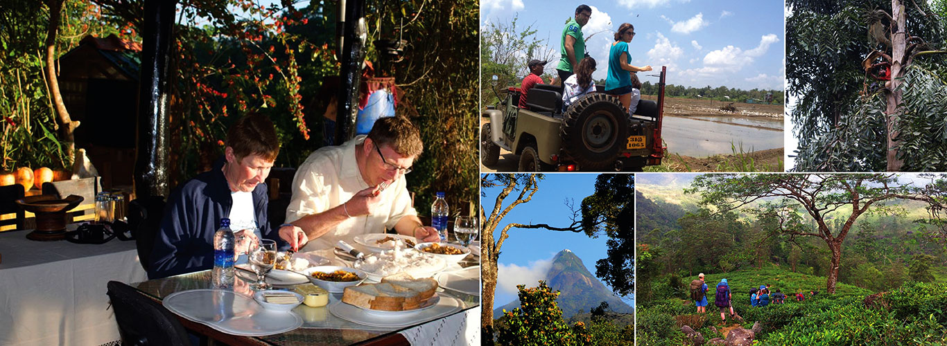Highlights of Sri Lanka