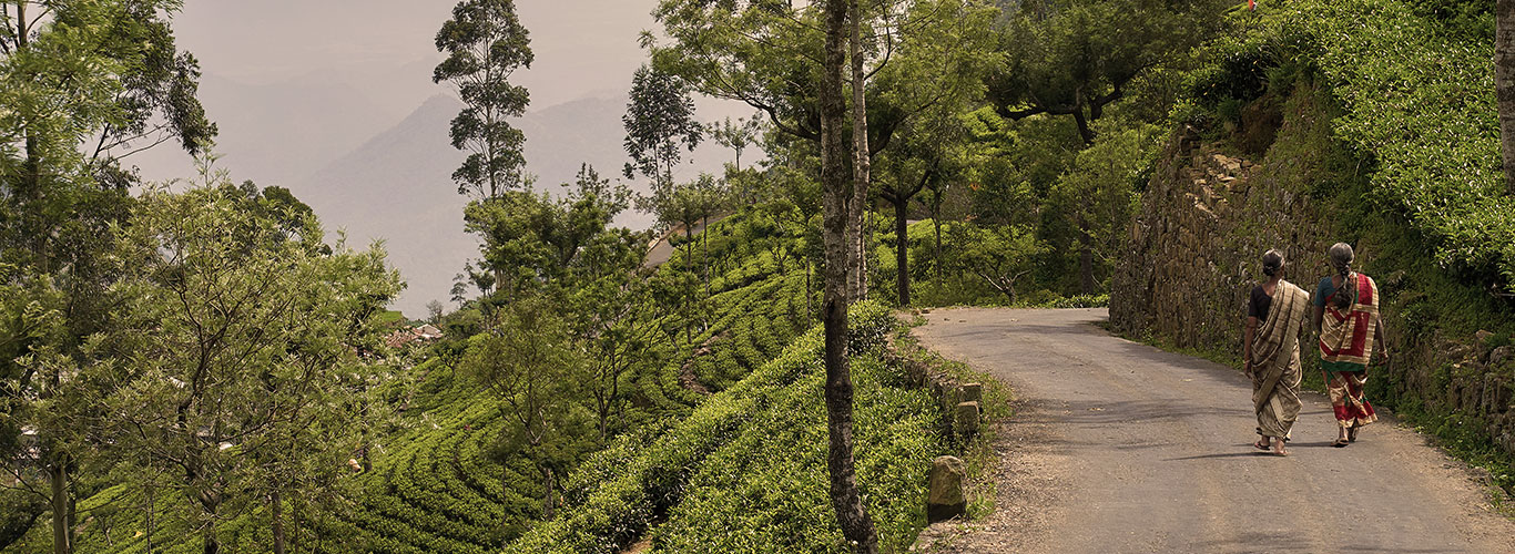 Sri Lanka Tailor-made Holidays