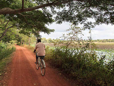 Family Tours in Sri Lanka
