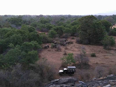 Family Tours in Sri Lanka