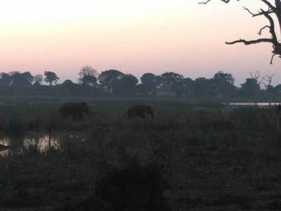 Family Tours in Sri Lanka