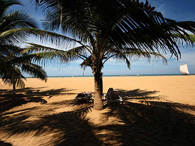 Family Tours in Sri Lanka