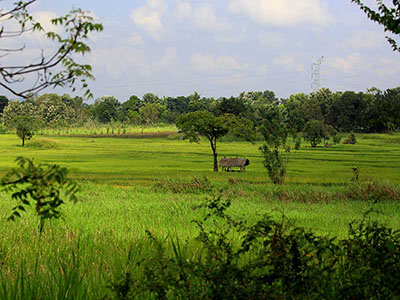 Family Tours in Sri Lanka