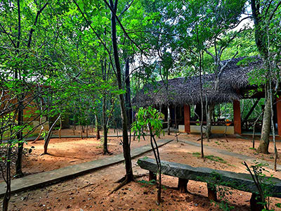 Family Tours in Sri Lanka