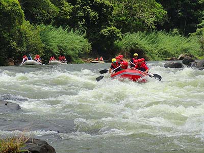 Family Tours in Sri Lanka