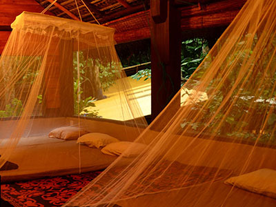 Family Tours in Sri Lanka