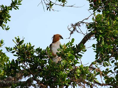 Family Tours in Sri Lanka