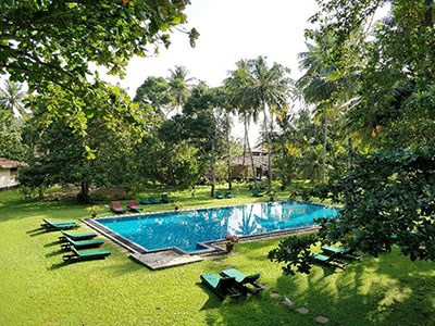 Highlights of Sri Lanka